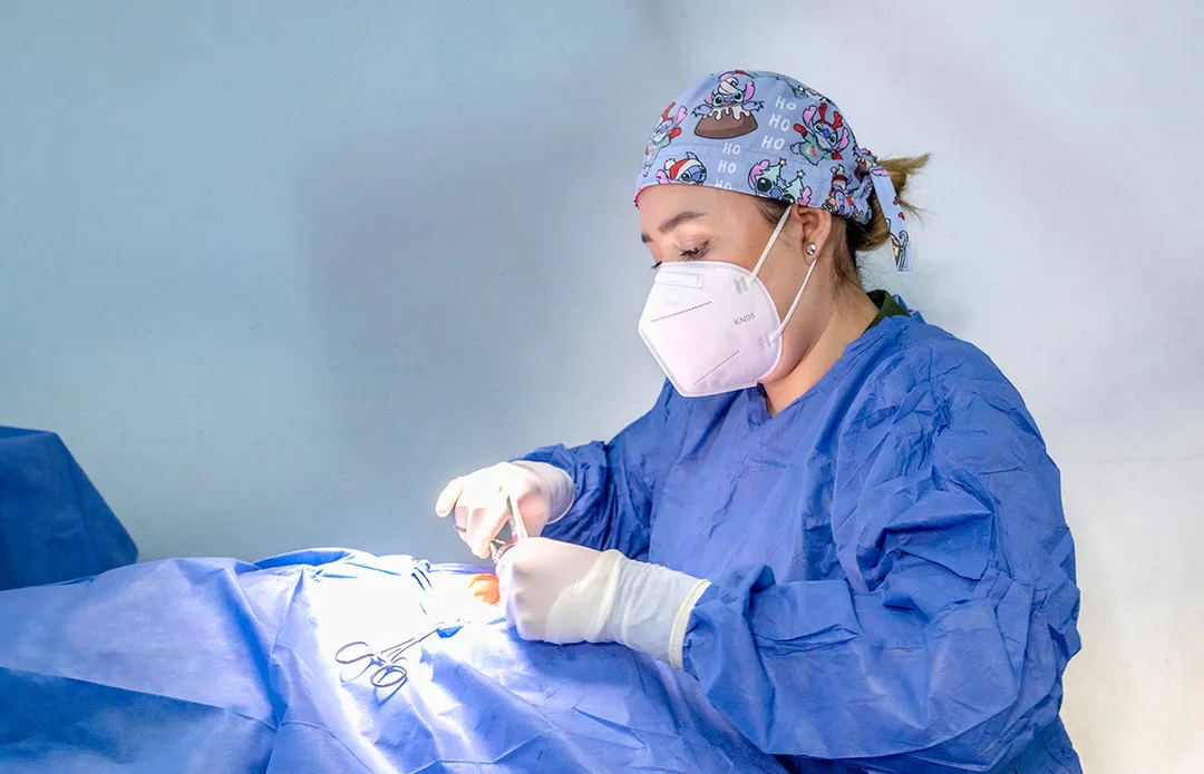 Cirujana veterinaria realizando una operación con atención y precisión en un quirófano de Doggie's