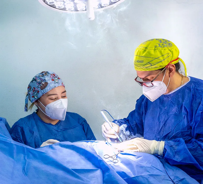 Equipo de cirujanos veterinarios realizando una operación en Doggie's