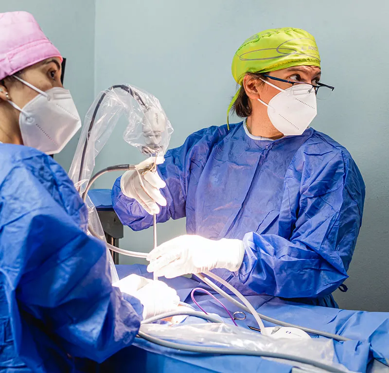 Cirujanos veterinarios en Doggie's realizando una laparoscopia
